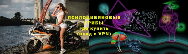 спайс Баксан