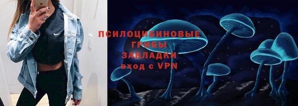 спайс Баксан