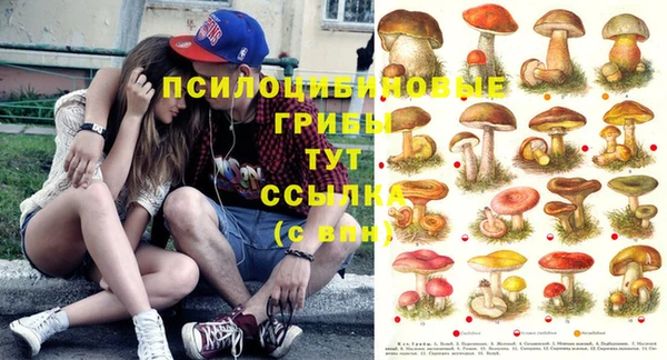 прущие крисы Белокуриха