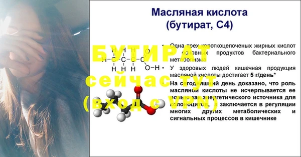 прущие крисы Белокуриха