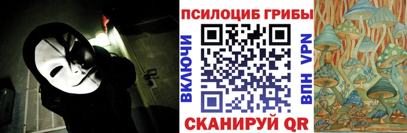 Галлюциногенные грибы Psilocybine cubensis  наркошоп  Невель 